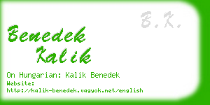 benedek kalik business card